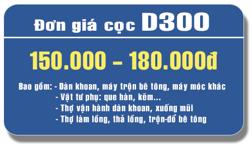 đơn-giá-khoan-cọc-nhồi-d300