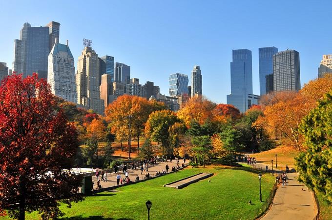 Dạo chơi ở công viên trung tâm Central Park