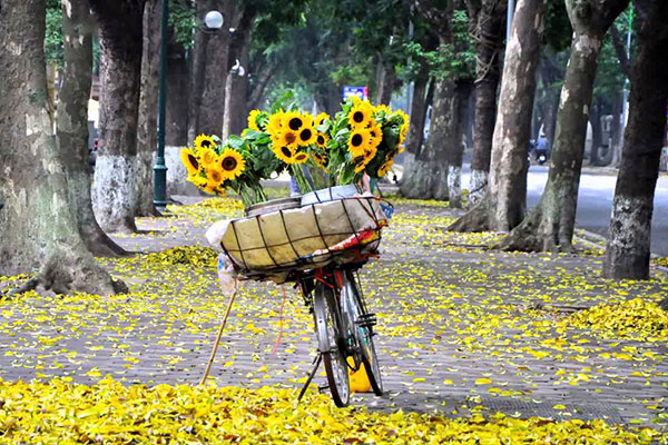 cảnh sắc mùa thu