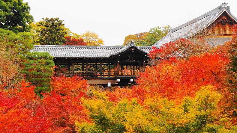 Tofuku-ji