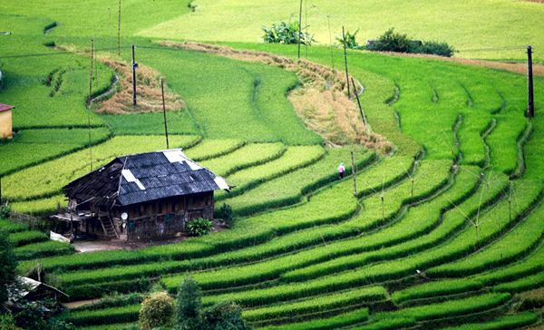 Tour du lịch Yên Bái 1 ngày