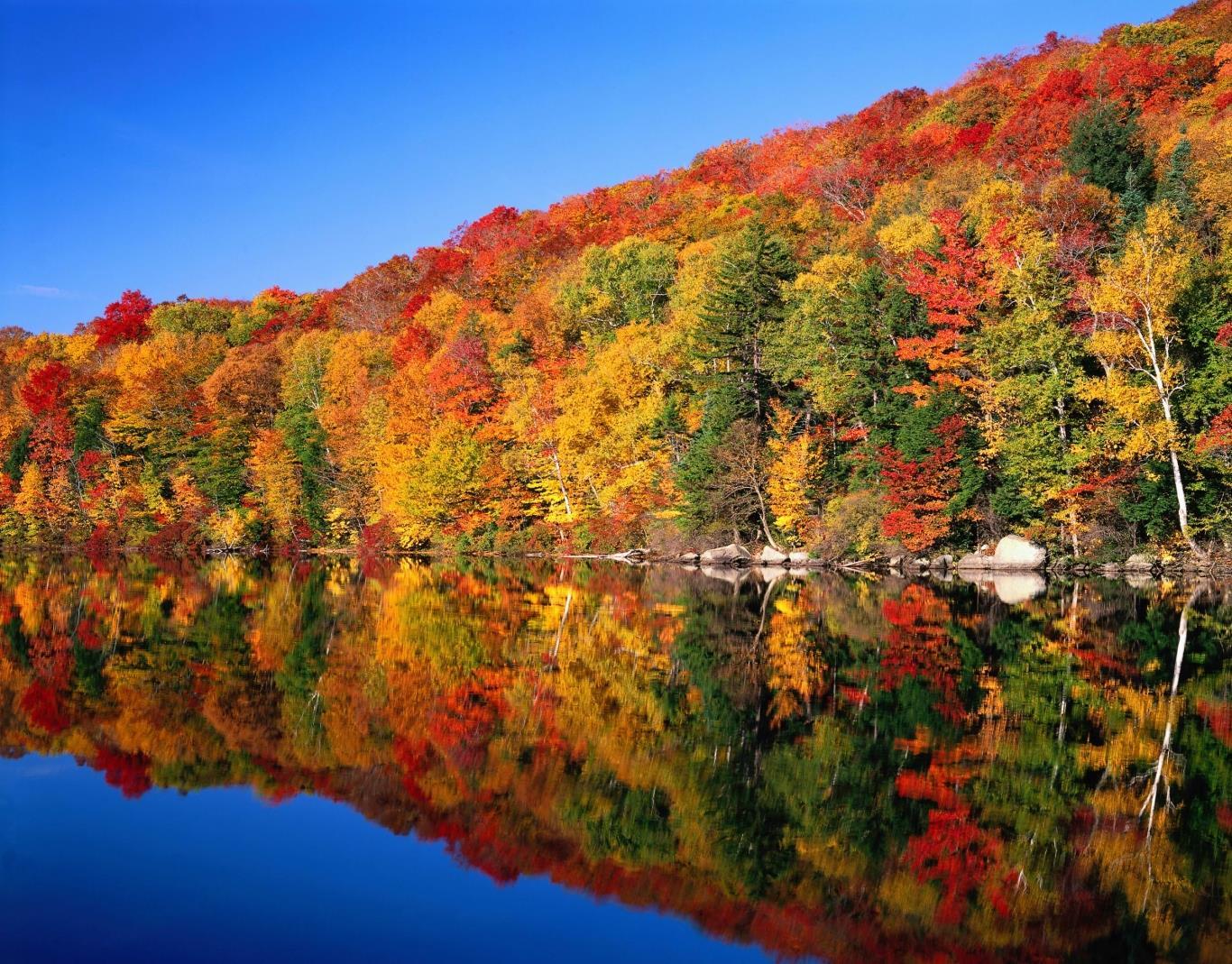 mùa thu ở Agawa Canyon 