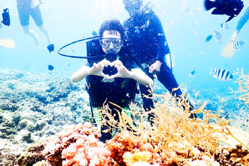 lặn biển ngắm san hô