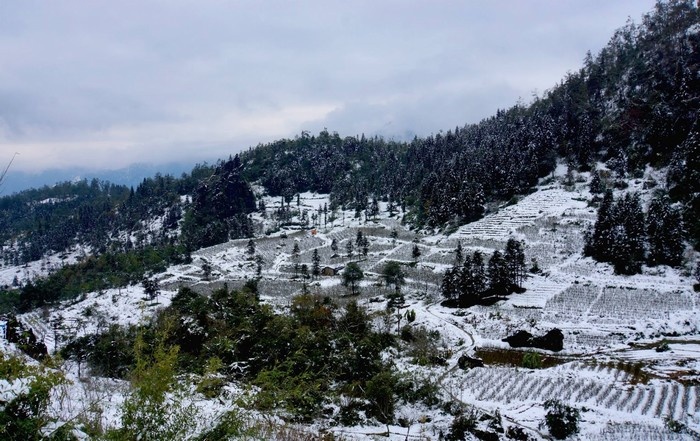 Sapa (Lào Cai)