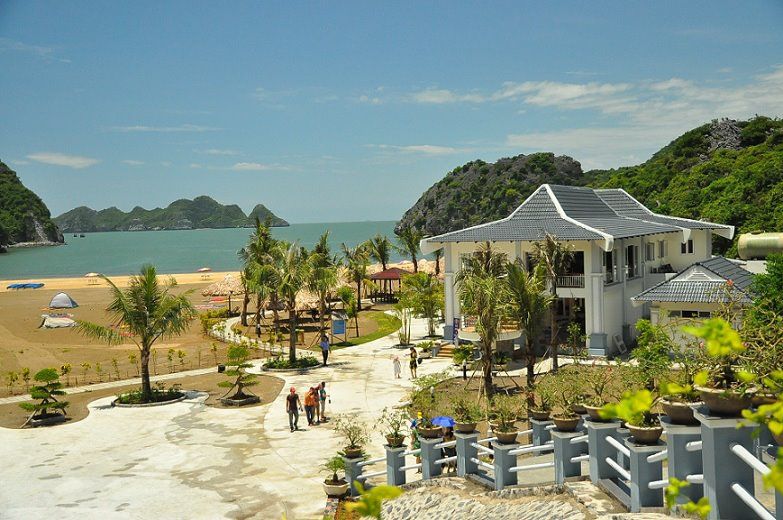 Tùng Thu Cát Bà