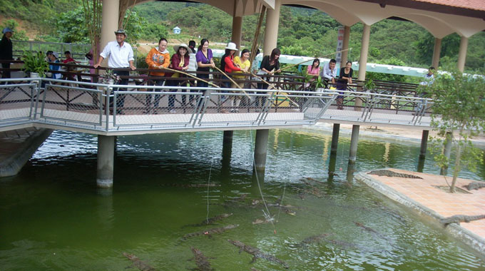 Câu cá sấu ở Yang Bay