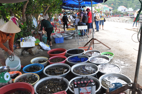 Chợ hải sản Cù Lao Chàm - Du lịch Cù Lao Chàm 1 ngày
