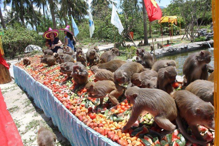 Đảo Khỉ Nha Trang