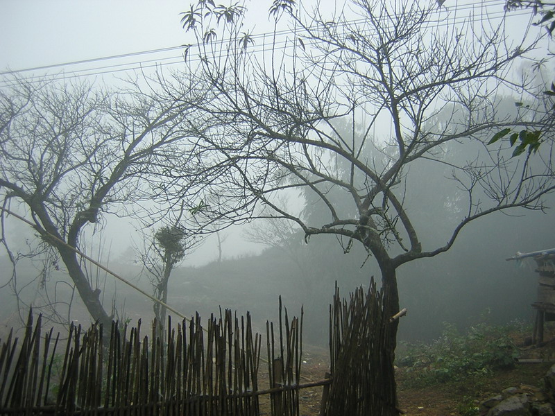 du lịch sapa vào mùa đông 2