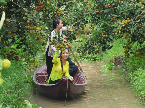 vườn trái cây mỹ khánh