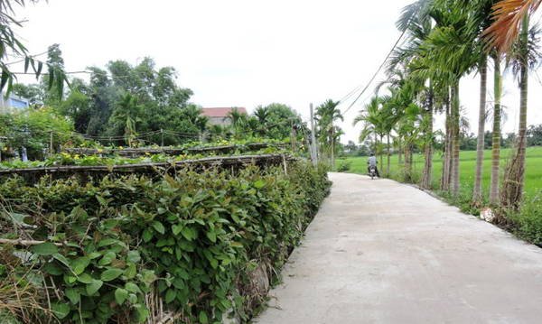 làng cổ phong nam