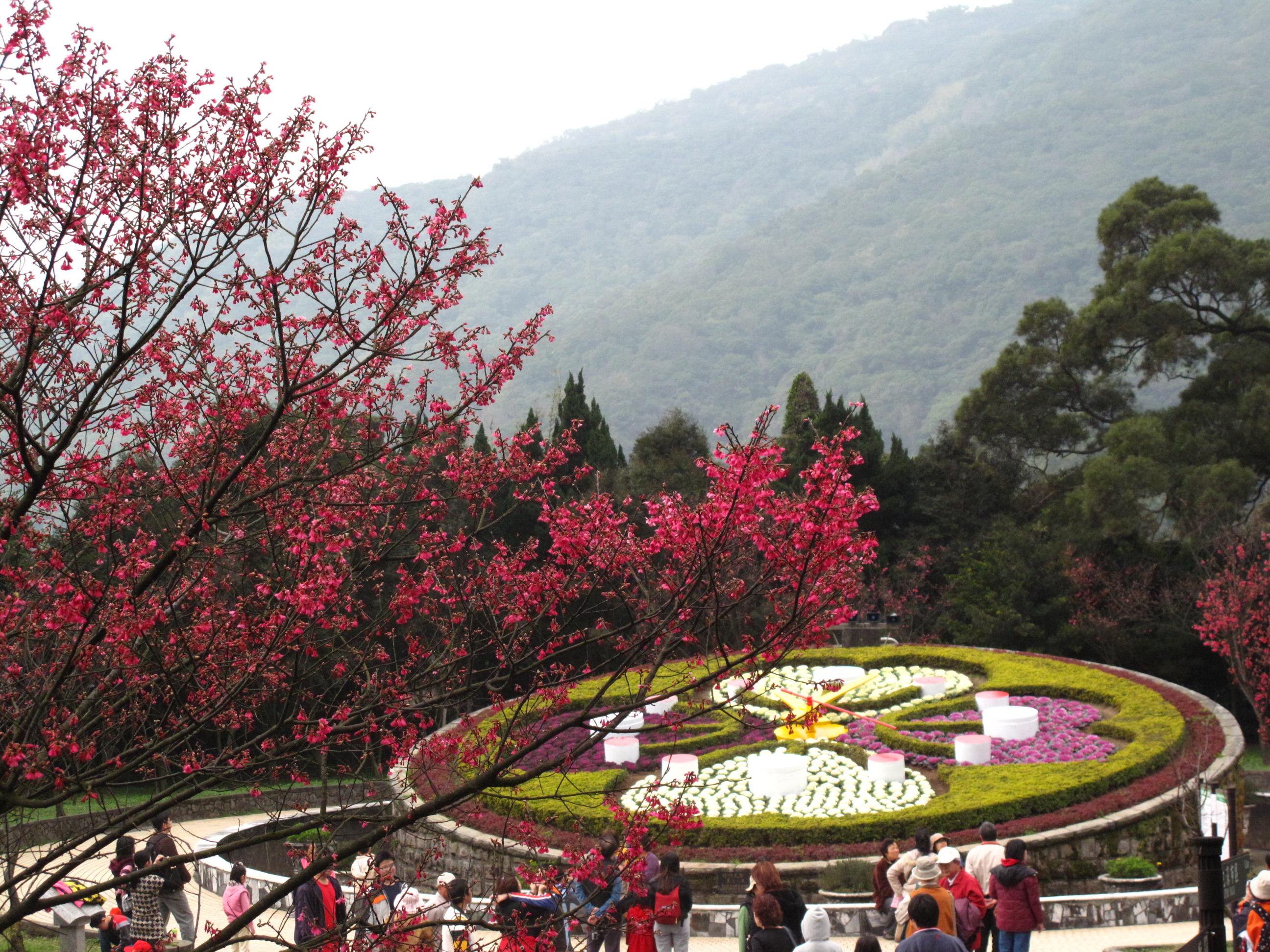 công viên yangmingshan