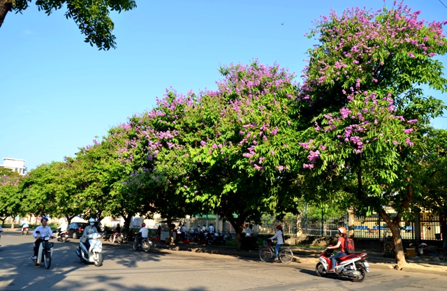 du lịch huế tháng 5