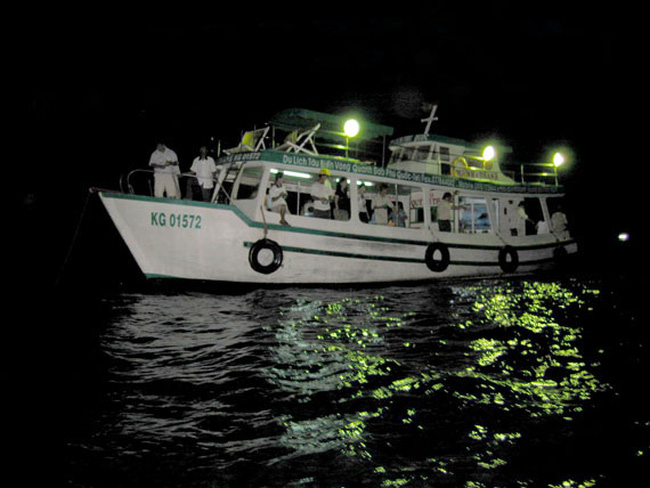 câu mực đêm phú quốc