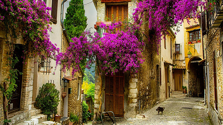 Những ngôi nhà đá đầy thơ mộng Provence