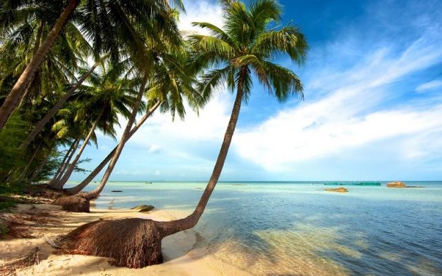 bãi sao phú quốc