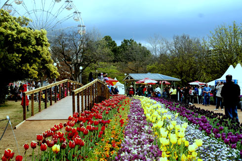 lễ hội hoa floriade 2