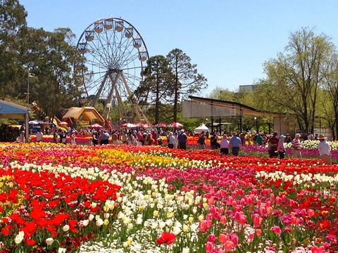 lẽ hội hoa floriade 3