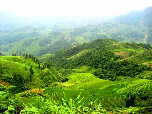 tour du lịch hà nội sapa 3 ngày 2 đêm