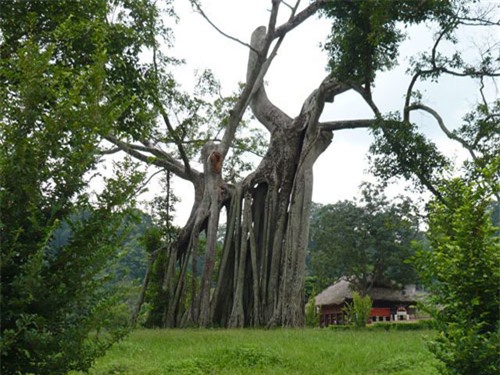 Tour du lịch Tuyên Quang 1 ngày