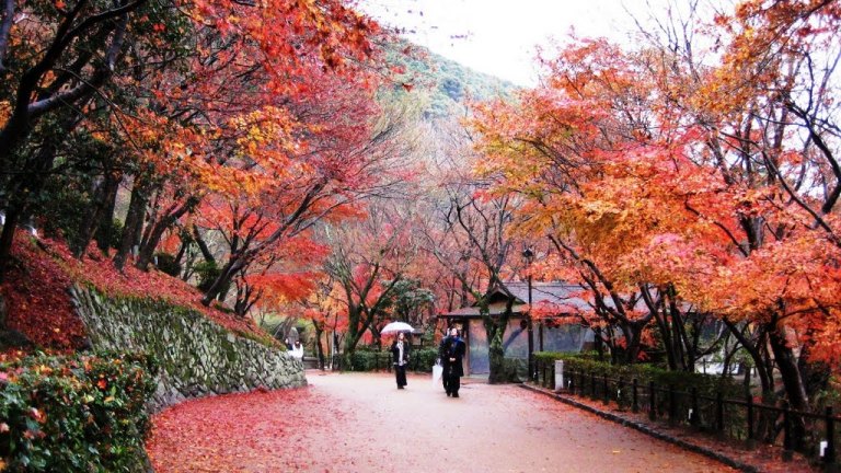 du lịch nhật bản - kyoto