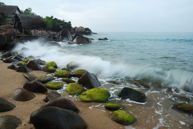 du lịch biển đà nẵng(4)