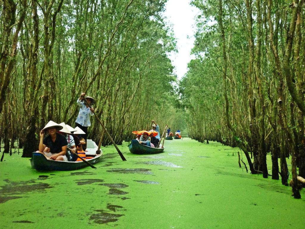 Rừng Tràm Trà Sư