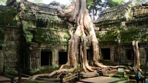 Ta Prohm - Du lịch Campuchia 4 ngày 3 đêm