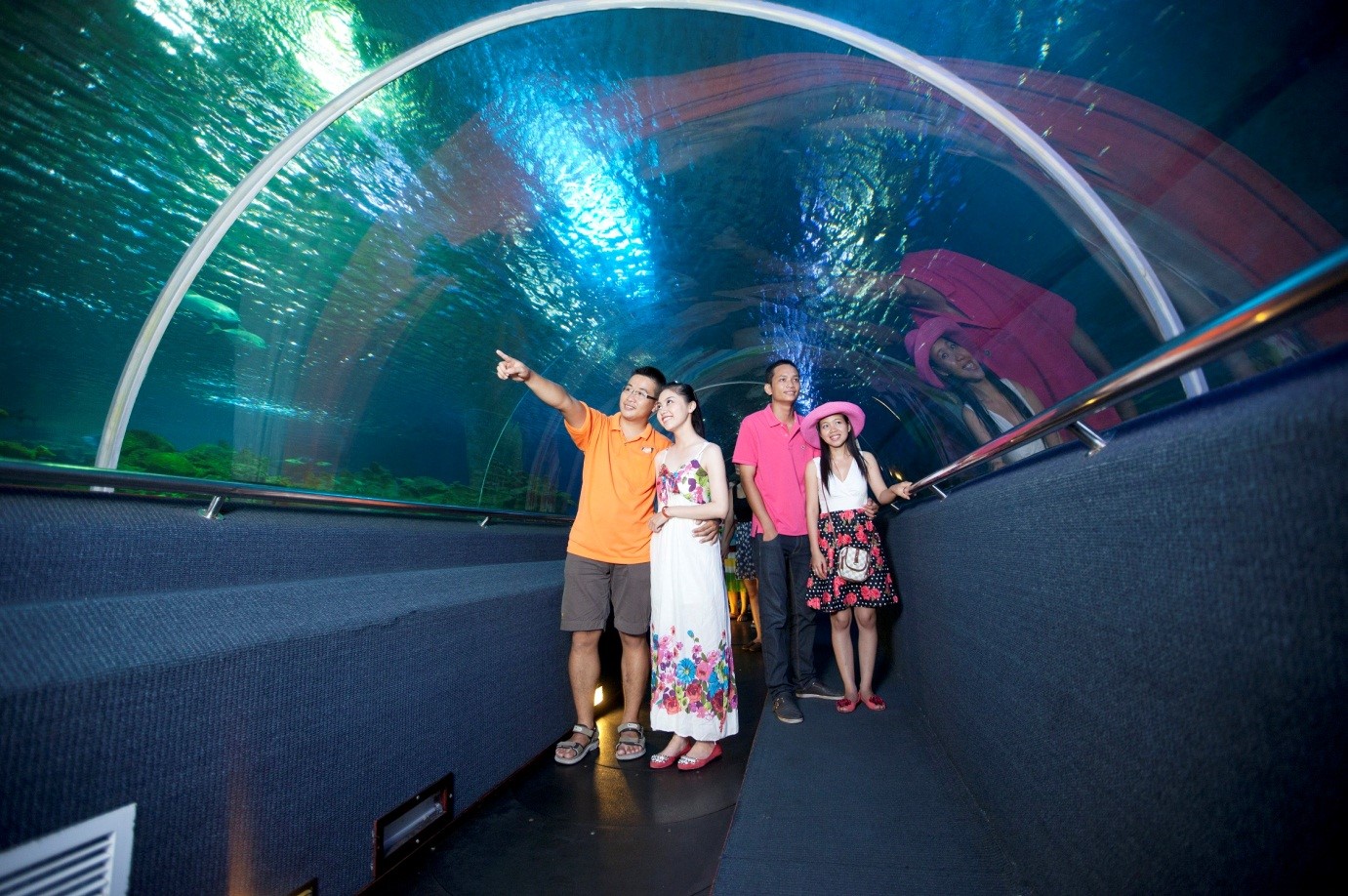 Thủy Cung ở Nha Trang