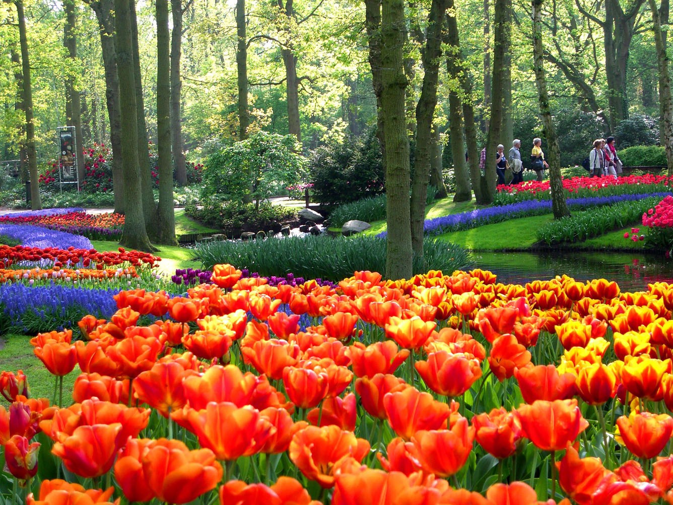 khu vườn keukenhof