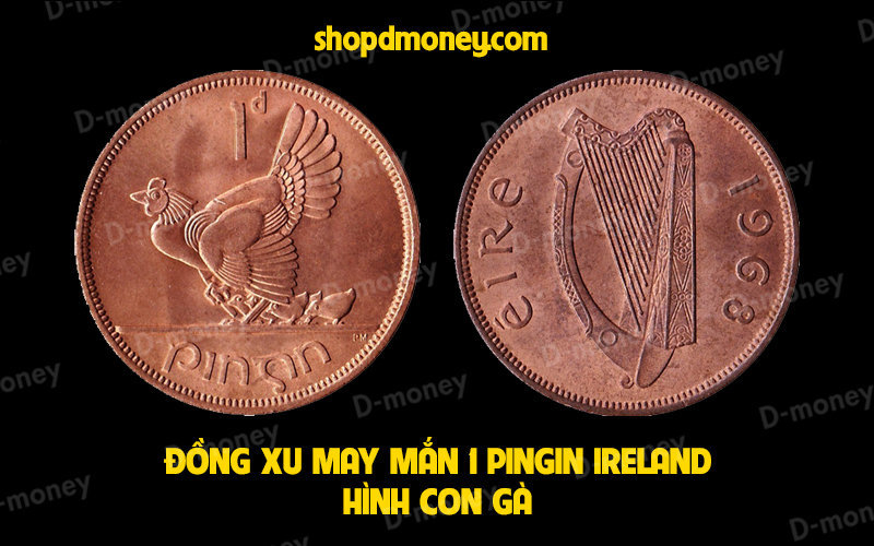 Đồng xu may mắn hình con gà Ireland