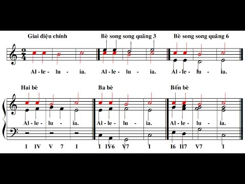  Phân Tích về Scale Và Modes ( âm giai)
