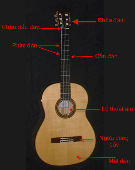 HƯỚNG DẪN HỌC GUITAR ONLINE CƠ BẢN TỪ A-Z CHUẨN NHẤT