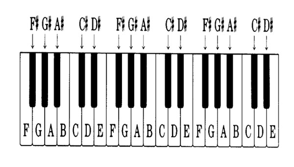 Bạn sẽ tiến xa tới mức không ngờ nếu như bắt đầu học piano từ bây giờ!