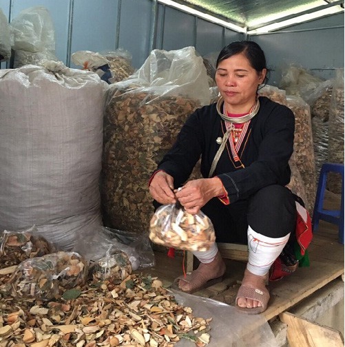 Những Bài Thuốc Bí Truyền Nhiều Đời Chữa Các Bệnh Xương Khớp