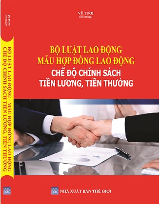 sách Bộ Luật Lao Động - Mẫu Hợp Đồng Lao Động Chế Độ Chính Sách Tiền Lương, Tiền Thưởng