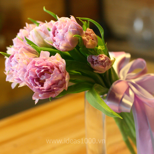 Tư vấn thành lập doanh nghiệp nhập khẩu và phân phối hoa