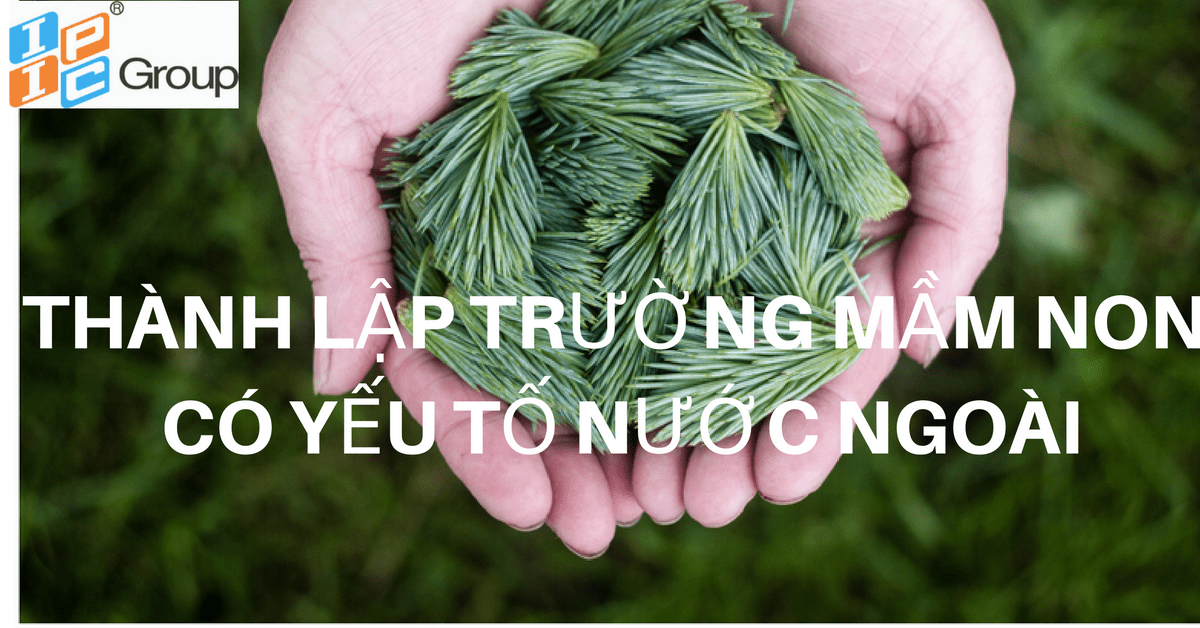 Tư vấn thành lập và hoạt động trường mầm non có vốn đầu tư nước ngoài.