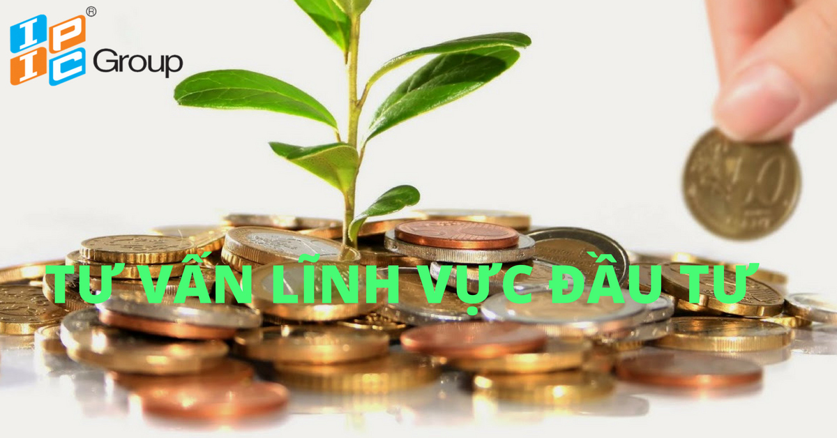 Tư vấn lĩnh vực đầu tư