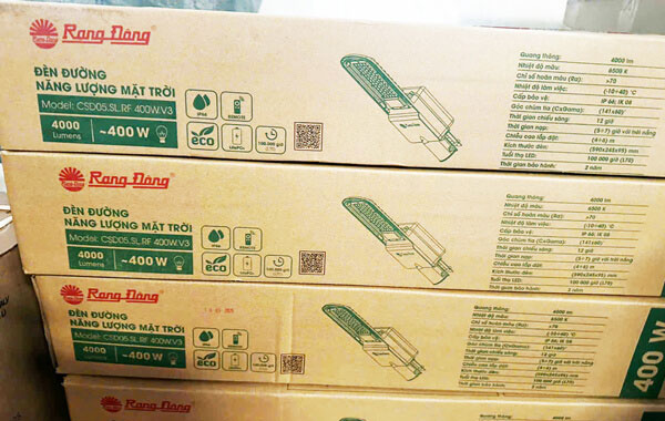 dự án chiếu sáng đường nông thôn tại Long An bằng đèn đường NLMT Rạng Đông mà LED Chính Hãng đã làm