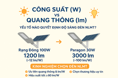 review đèn đường Rạng Đông và đèn đường Paragon