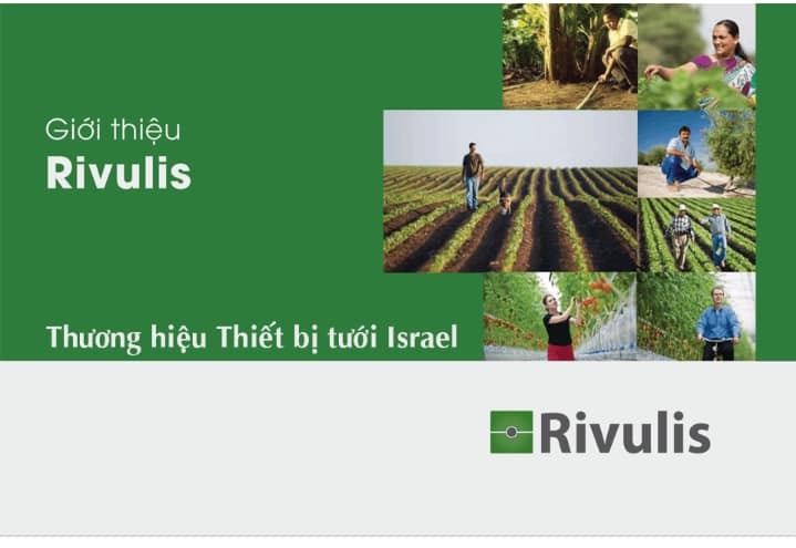 thương hiệu rivulis