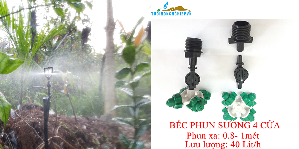 Lắp đặt tưới phun sương tự động tại Hải Phòng