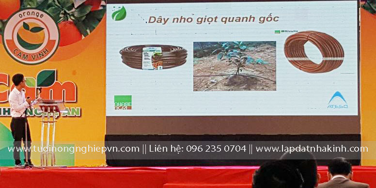 Hội thảo tưới nhỏ giọt cho cây cam