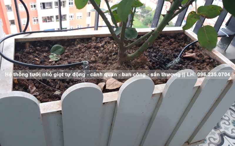 báo giá hệ thống tưới nhỏ giọt trồng rau trên sân thượng