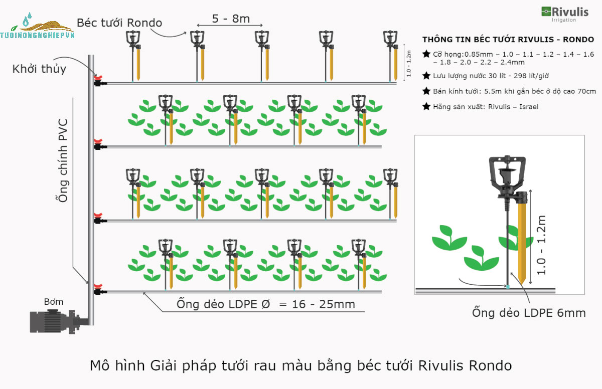 Mô hình lắp đặt đầu tưới phun mưa Rondo Rivulis