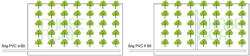 Ống PVC có thể đi sát biên hoặc đi giữa vườn để chia thành nhiều khu vực tưới