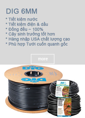 Tưới nhỏ giọt