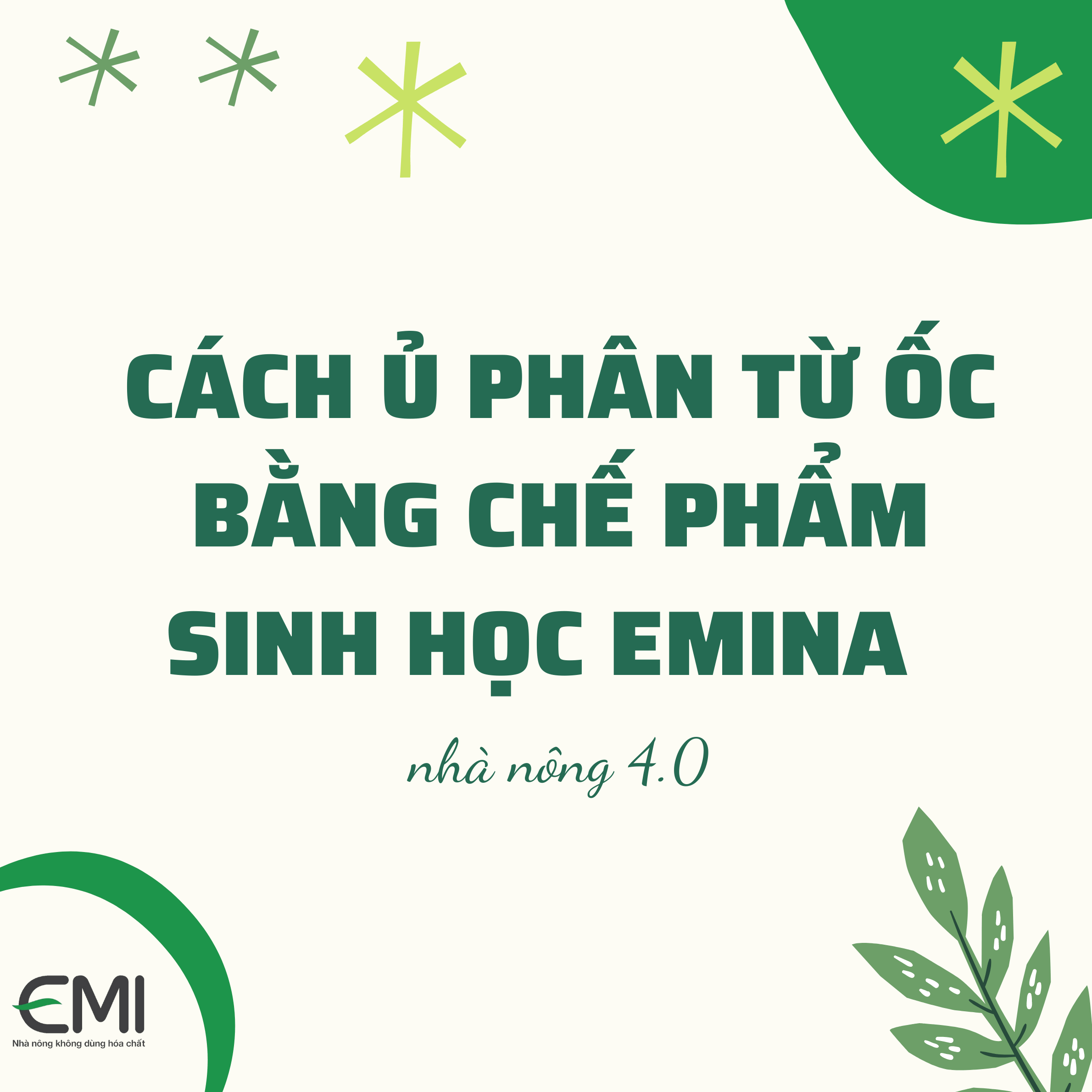 Cách làm phân bón từ ốc bươu vàng Cách làm phân bón từ ốc bươu vàng