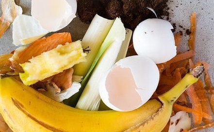 Cách ủ đạm amino bằng chế phẩm sinh học Emina Cách ủ đạm amino bằng chế phẩm sinh học Emina